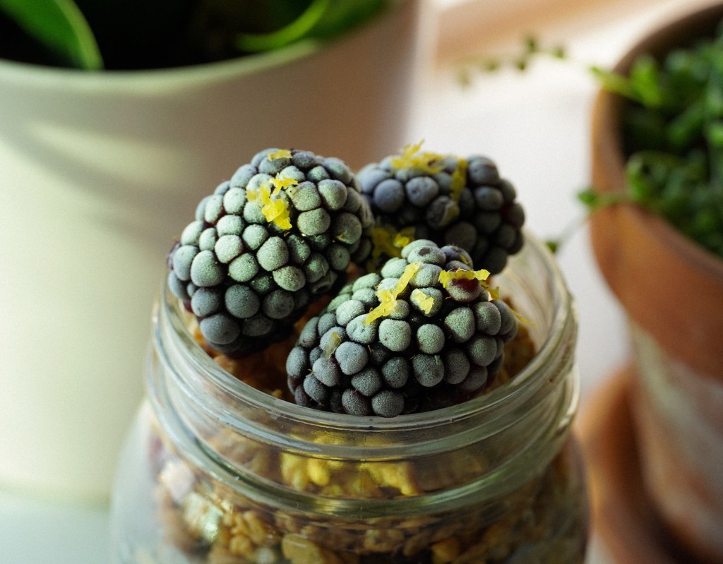 blackberry lemon overnight oats lemon zest