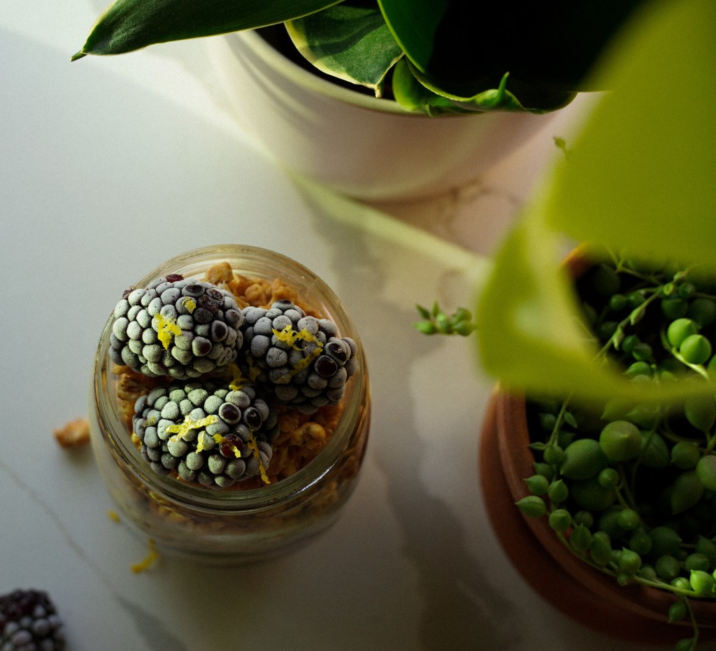 blackberry lemon overnight oats top view