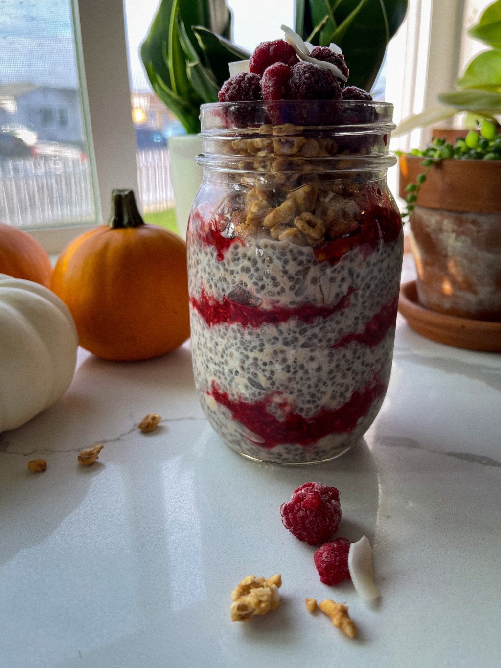 RASPBERRY OVERNIGHT OATS